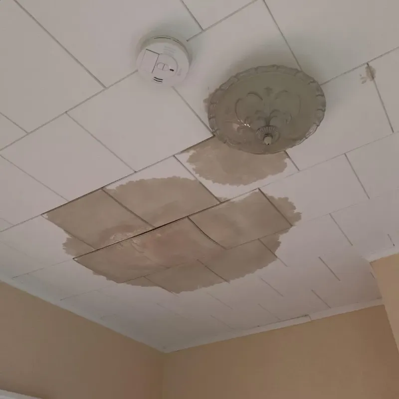 Ceiling Water Damage Repair in Menands, NY