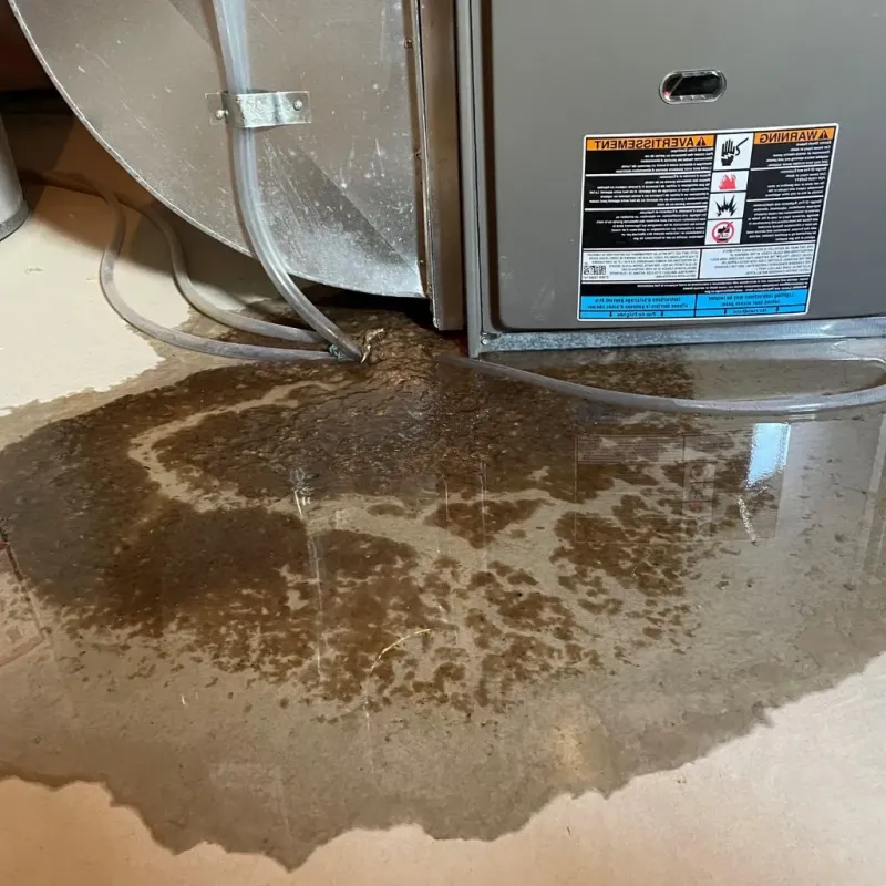 Pipe Burst and Leak Restoration in Menands, NY